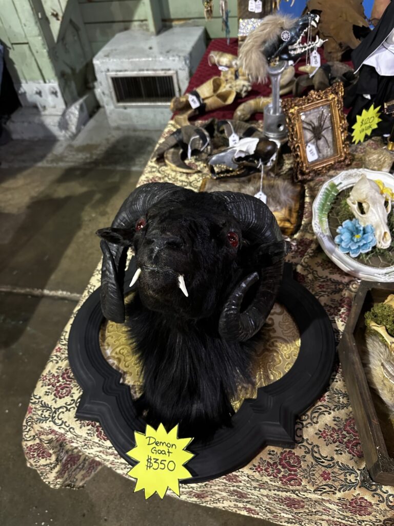 Demon Goat at the Cabinet of Curiosities Market