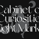 Cabinet of Curiosities Night Market: review