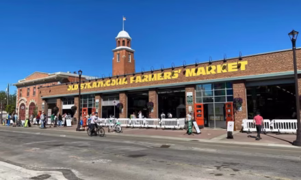 Old Strathcona Farmers’ Market report